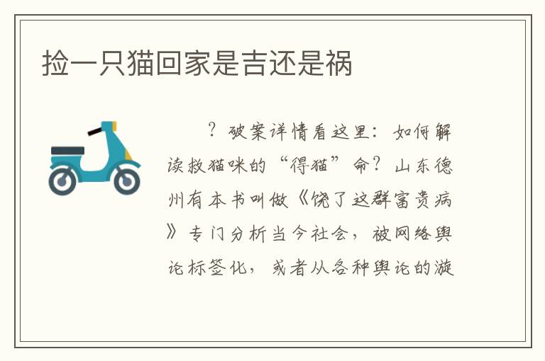 捡一只猫回家是吉还是祸
